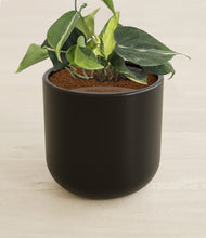 Load image into Gallery viewer, Stone Black stand:all

