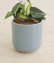 Load image into Gallery viewer, Misty Blue stand:all
