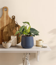 Load image into Gallery viewer, Deep Navy
