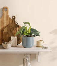 Load image into Gallery viewer, Misty Blue
