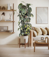 Load image into Gallery viewer, Natural Bamboo stand:walnut
