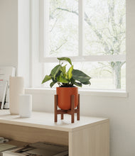 Load image into Gallery viewer, Earth Red stand:walnut
