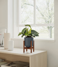 Load image into Gallery viewer, Iron Gray stand:walnut

