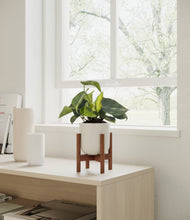 Load image into Gallery viewer, Natural Bamboo stand:walnut
