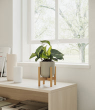 Load image into Gallery viewer, Sage Green stand:bamboo
