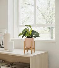 Load image into Gallery viewer, Sandy Pink stand:bamboo
