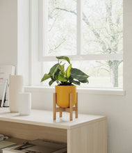 Load image into Gallery viewer, Sunset Orange stand:bamboo
