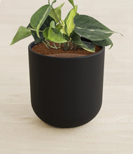 Load image into Gallery viewer, Stone Black stand:all
