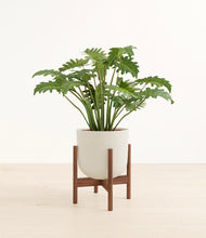 Load image into Gallery viewer, Natural Bamboo stand:walnut
