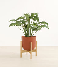 Load image into Gallery viewer, Earth Red stand:bamboo
