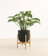 Load image into Gallery viewer, Stone Black stand:bamboo
