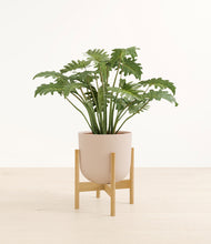 Load image into Gallery viewer, Sandy Pink stand:bamboo
