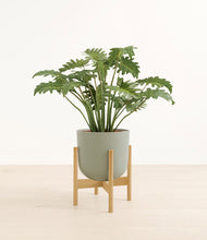 Load image into Gallery viewer, Sage Green stand:bamboo
