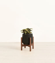 Load image into Gallery viewer, Black stand:walnut

