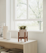 Load image into Gallery viewer, Eternal Gray stand:walnut
