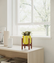 Load image into Gallery viewer, Key Lime Yellow stand:walnut
