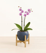 Load image into Gallery viewer, Deep Navy stand:bamboo
