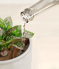 Load image into Gallery viewer, Hammered Ivory stand:all
