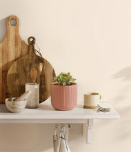 Load image into Gallery viewer, Striped Rose Pink
