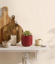 Load image into Gallery viewer, Striped Cherry Red
