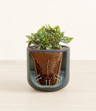 Load image into Gallery viewer, Iron Gray stand:all
