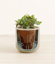 Load image into Gallery viewer, Sage Green stand:all
