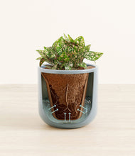 Load image into Gallery viewer, Misty Blue stand:all
