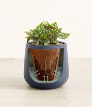 Load image into Gallery viewer, Deep Navy stand:all
