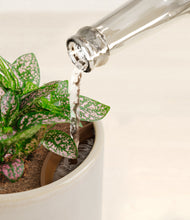 Load image into Gallery viewer, Snowdrift White stand:all
