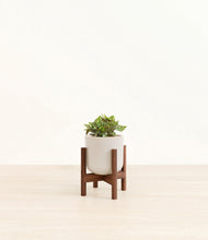 Load image into Gallery viewer, Snowdrift White stand:walnut
