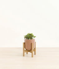 Load image into Gallery viewer, Hammered Peach Pink stand:bamboo
