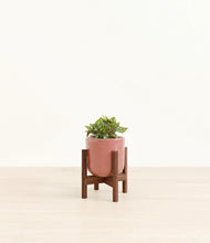 Load image into Gallery viewer, Hammered Rose Pink stand:walnut

