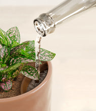 Load image into Gallery viewer, Hammered Peach Pink stand:all
