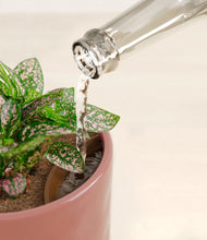 Load image into Gallery viewer, Hammered Rose Pink stand:all
