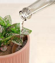 Load image into Gallery viewer, Striped Rose Pink stand:all
