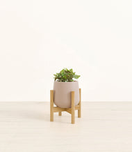 Load image into Gallery viewer, Eternal Gray stand:bamboo
