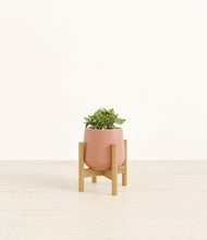 Load image into Gallery viewer, Calm Rose stand:bamboo
