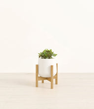 Load image into Gallery viewer, White stand:bamboo
