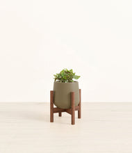Load image into Gallery viewer, Olive stand:walnut
