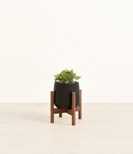 Load image into Gallery viewer, Black stand:walnut

