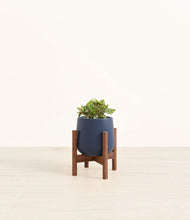 Load image into Gallery viewer, Deep Navy stand:walnut

