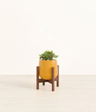 Load image into Gallery viewer, Mustard stand:walnut

