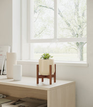Load image into Gallery viewer, Almond Green stand:walnut
