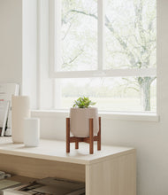 Load image into Gallery viewer, Eternal Gray stand:walnut
