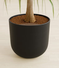 Load image into Gallery viewer, Stone Black stand:all
