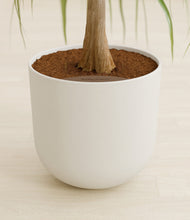 Load image into Gallery viewer, Natural Bamboo stand:all
