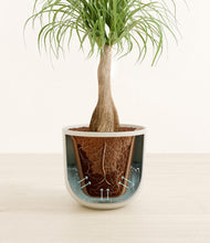Load image into Gallery viewer, Natural Bamboo stand:all
