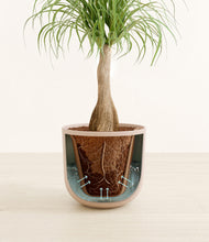 Load image into Gallery viewer, Sandy Pink stand:all

