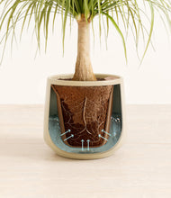 Load image into Gallery viewer, Almond Green stand:all
