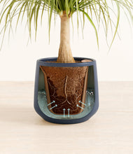 Load image into Gallery viewer, Deep Navy stand:all
